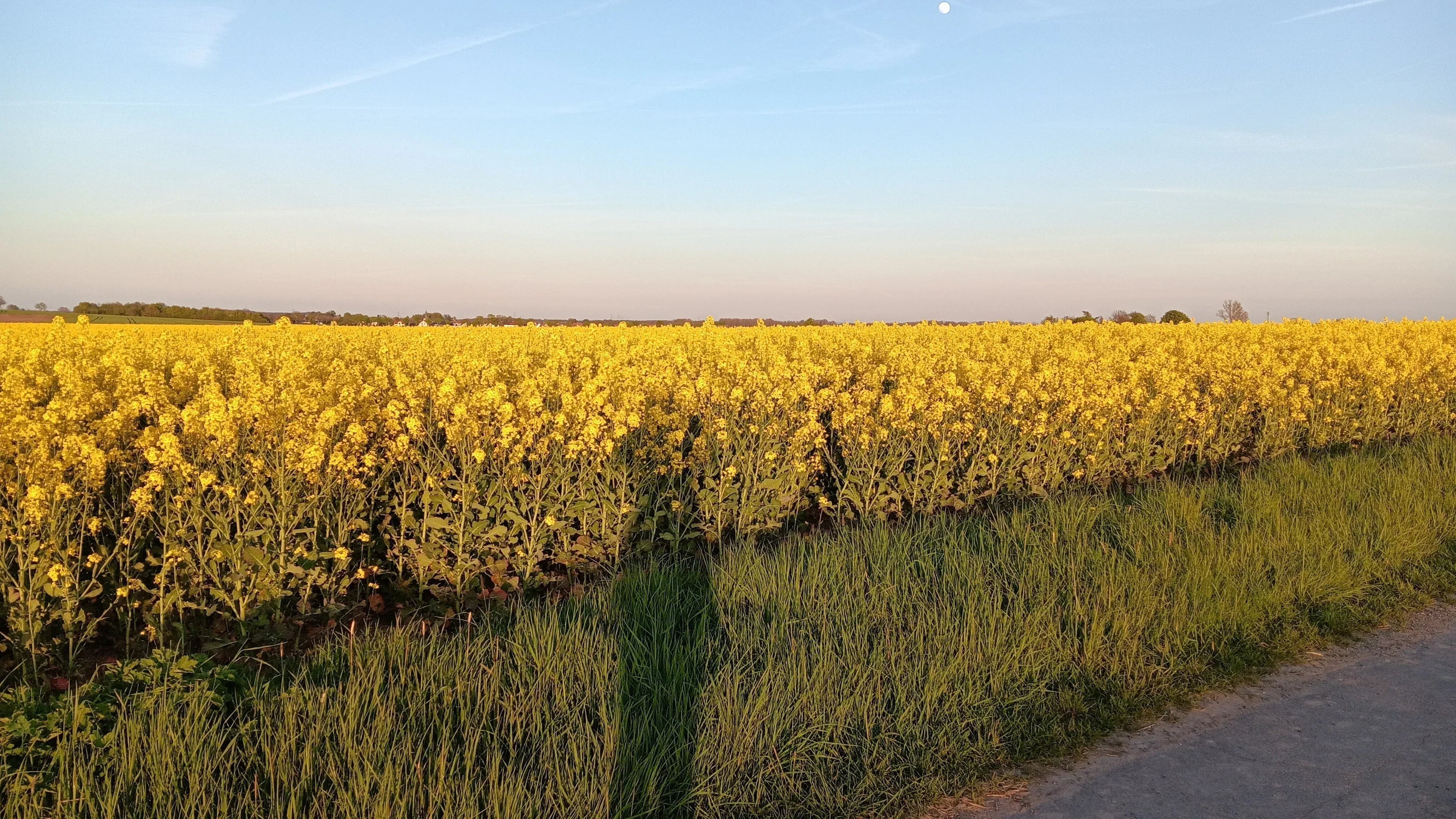 Wie ich meine kreative Berufung gefunden habe