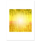 0adbc316-85f5-45fc-9b5c-669f31e1d7fa