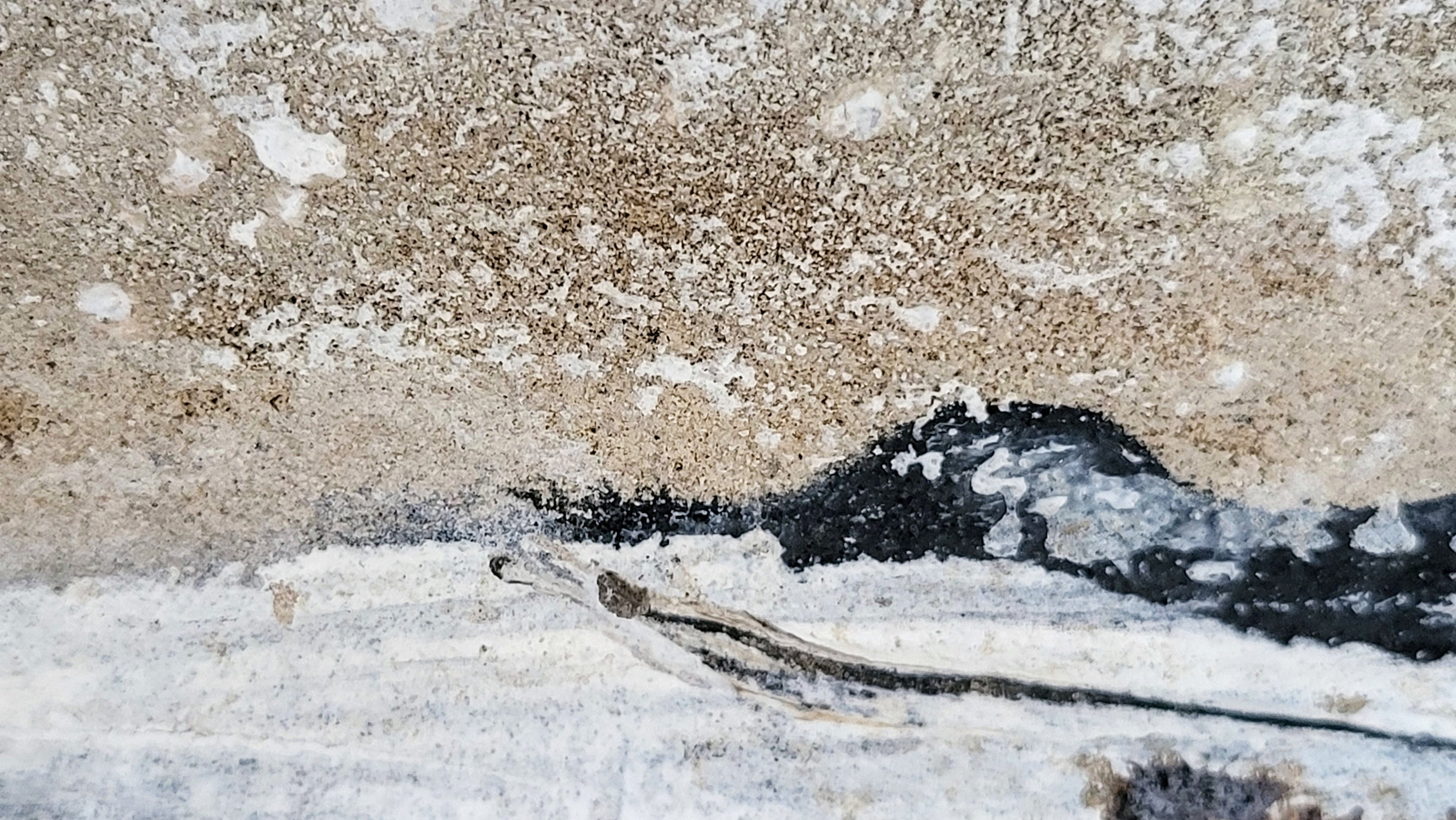 [Produkttitel], [Anbieter], [Produkttyp], [Produkthandle], [Shopname]