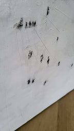 [Produkttitel], [Anbieter], [Produkttyp], [Produkthandle], [Shopname]