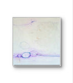 [Produkttitel], [Anbieter], [Produkttyp], [Produkthandle], [Shopname]