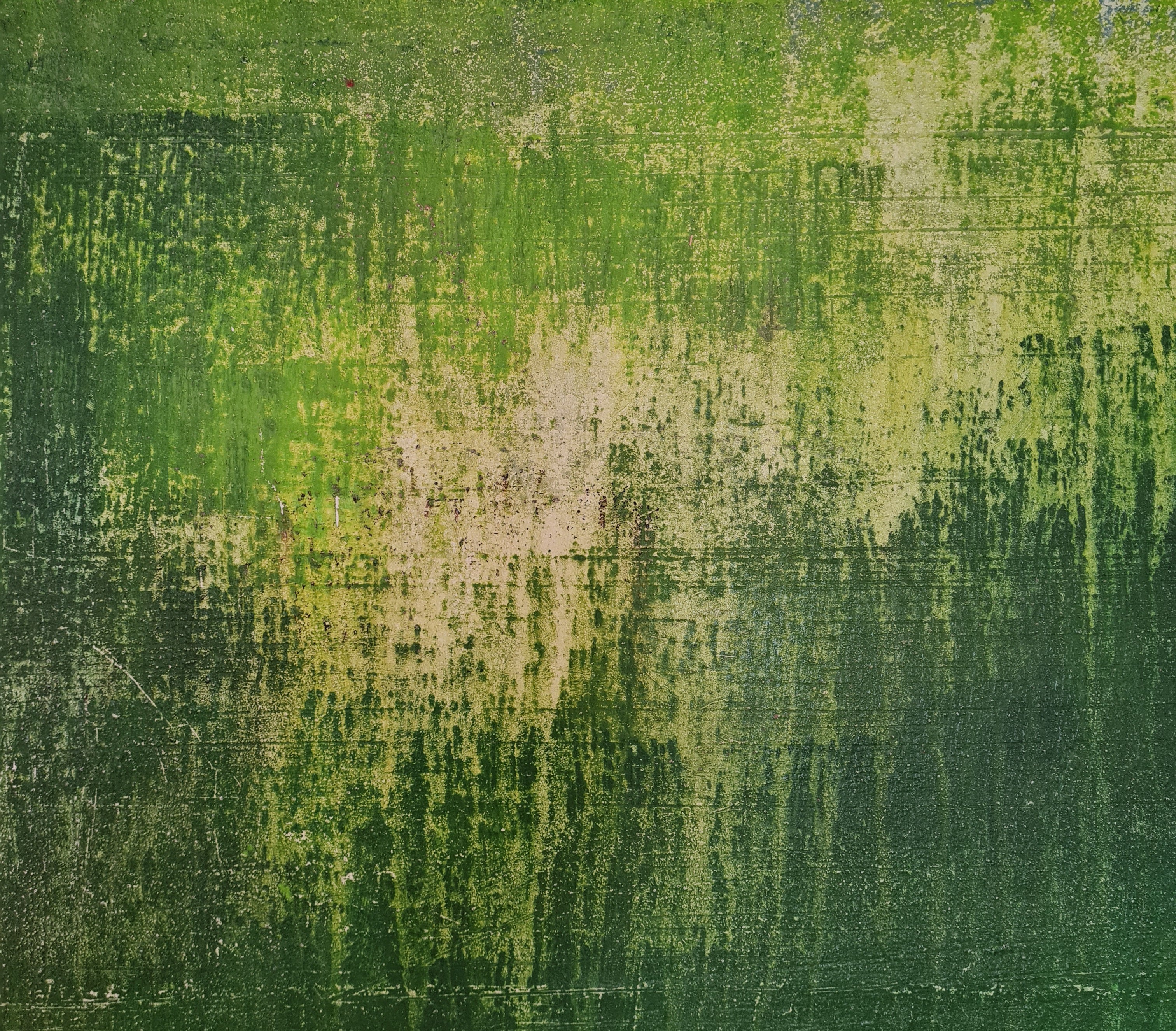 [Produkttitel], [Anbieter], [Produkttyp], [Produkthandle], [Shopname]