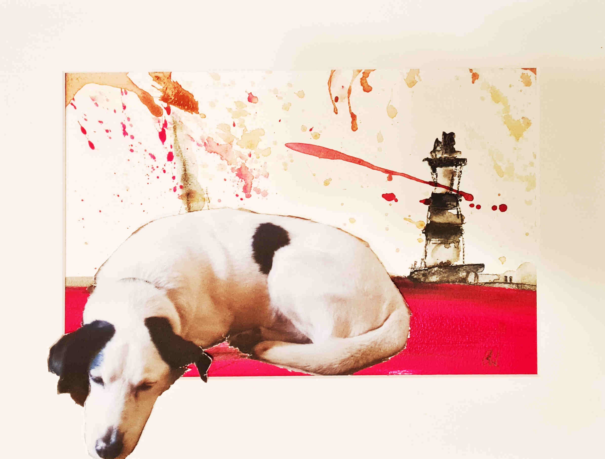 [Produkttitel], [Anbieter], [Produkttyp], [Produkthandle], [Shopname]