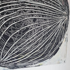 [Produkttitel], [Anbieter], [Produkttyp], [Produkthandle], [Shopname]