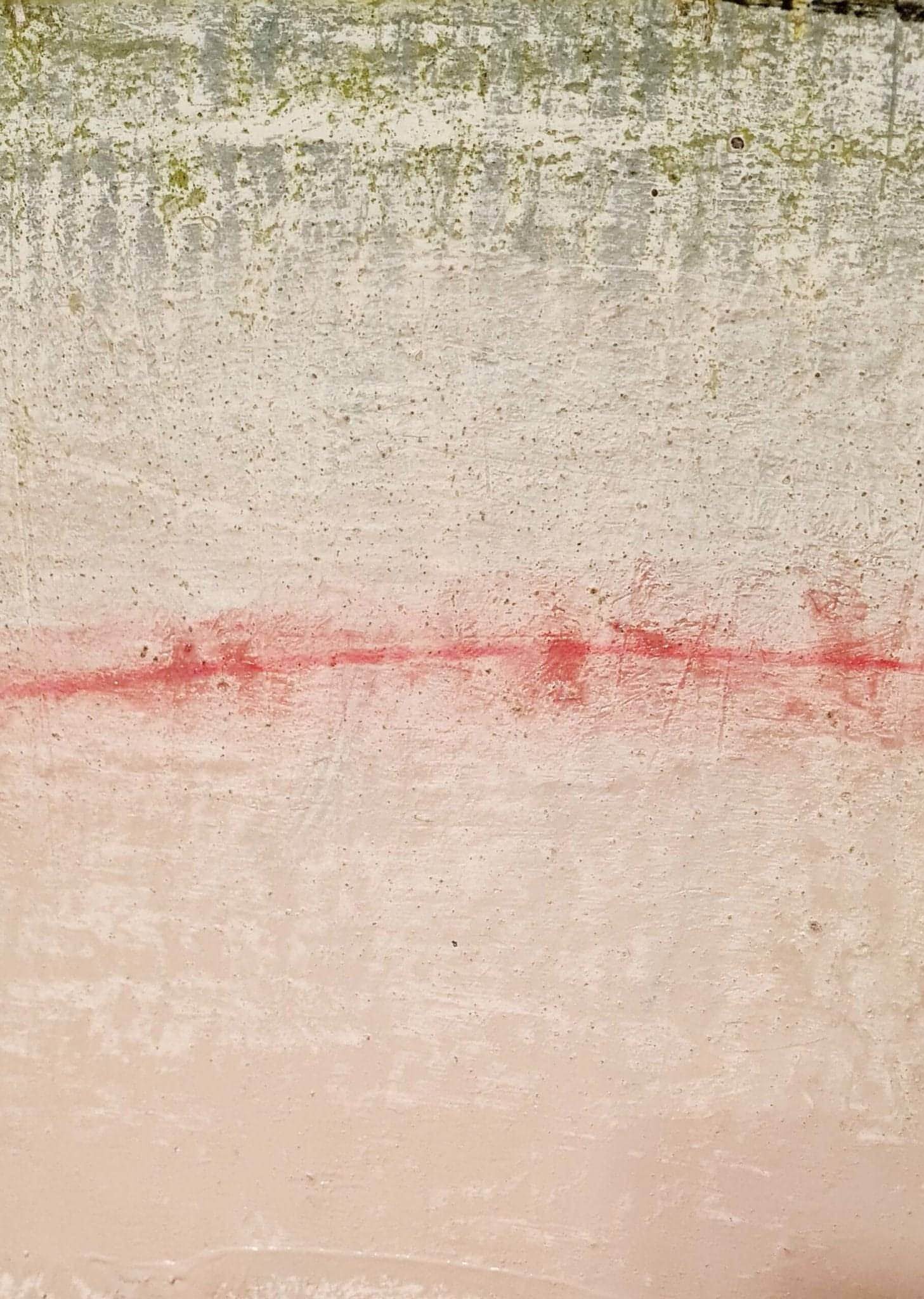 [Produkttitel], [Anbieter], [Produkttyp], [Produkthandle], [Shopname]