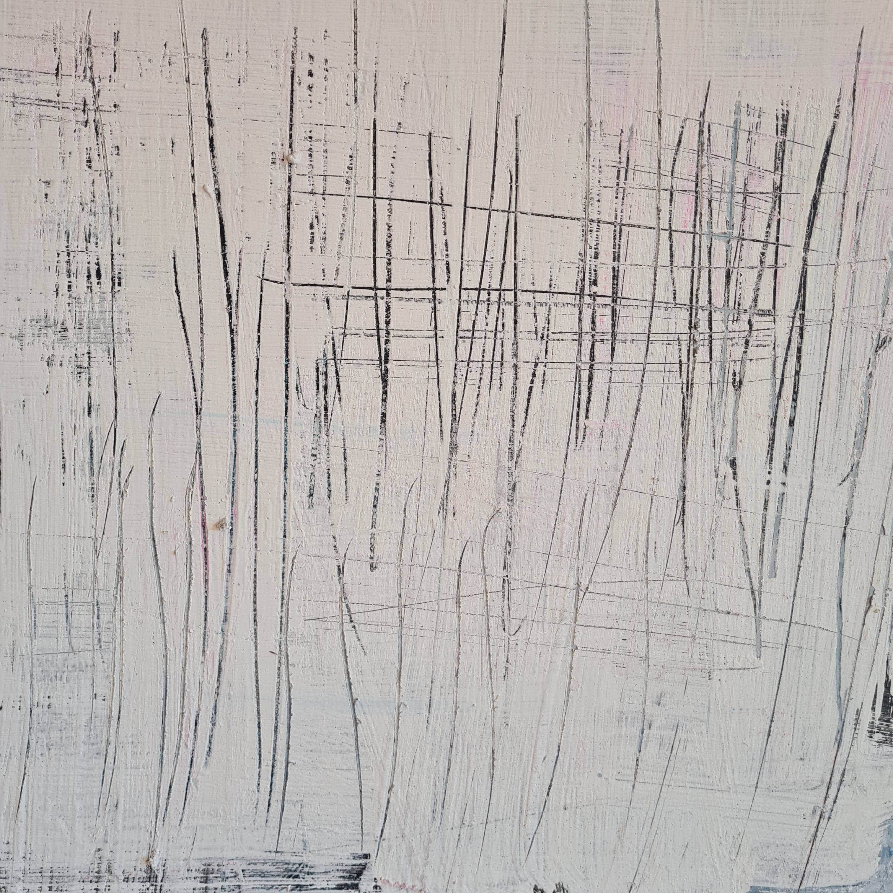 [Produkttitel], [Anbieter], [Produkttyp], [Produkthandle], [Shopname]