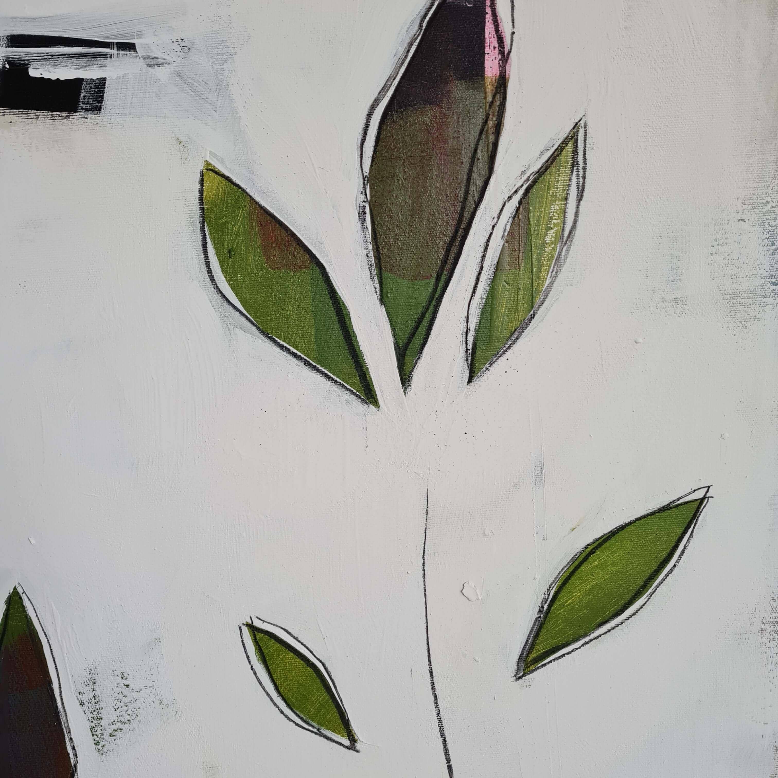 [Produkttitel], [Anbieter], [Produkttyp], [Produkthandle], [Shopname]