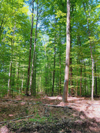 Personalisierte Auftragskunst und Gemälde: auftragsmalerei-3 – Kategorie: Originalgemälde – Hersteller: 