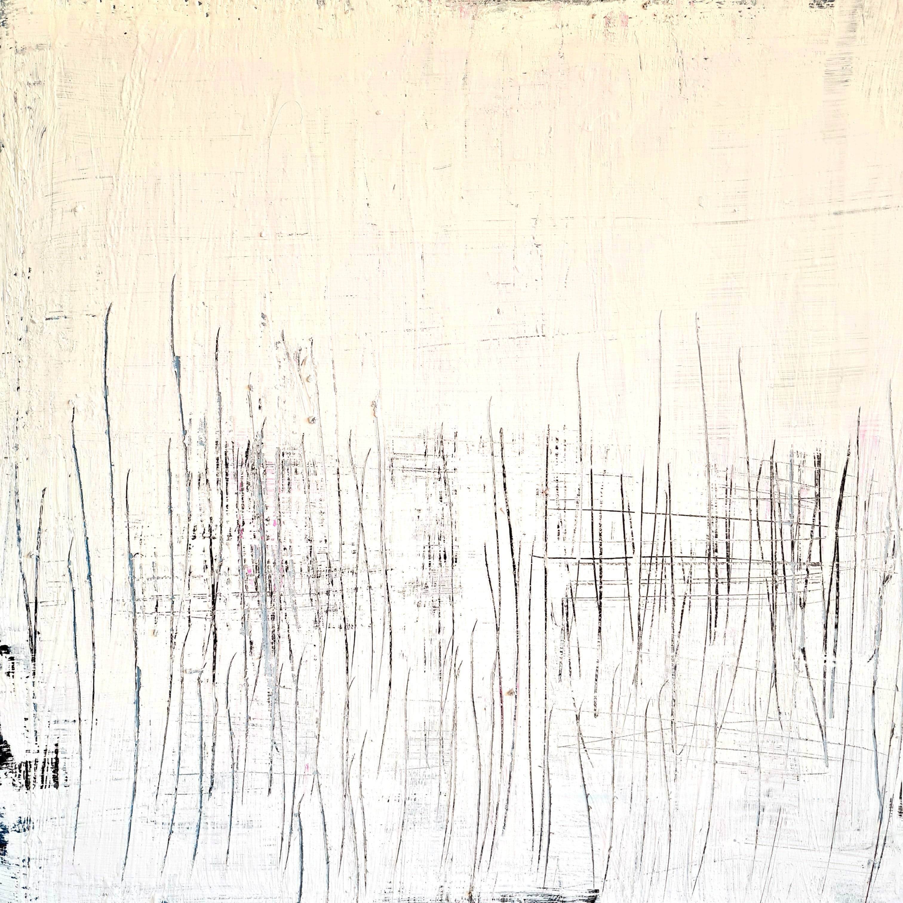 [Produkttitel], [Anbieter], [Produkttyp], [Produkthandle], [Shopname]