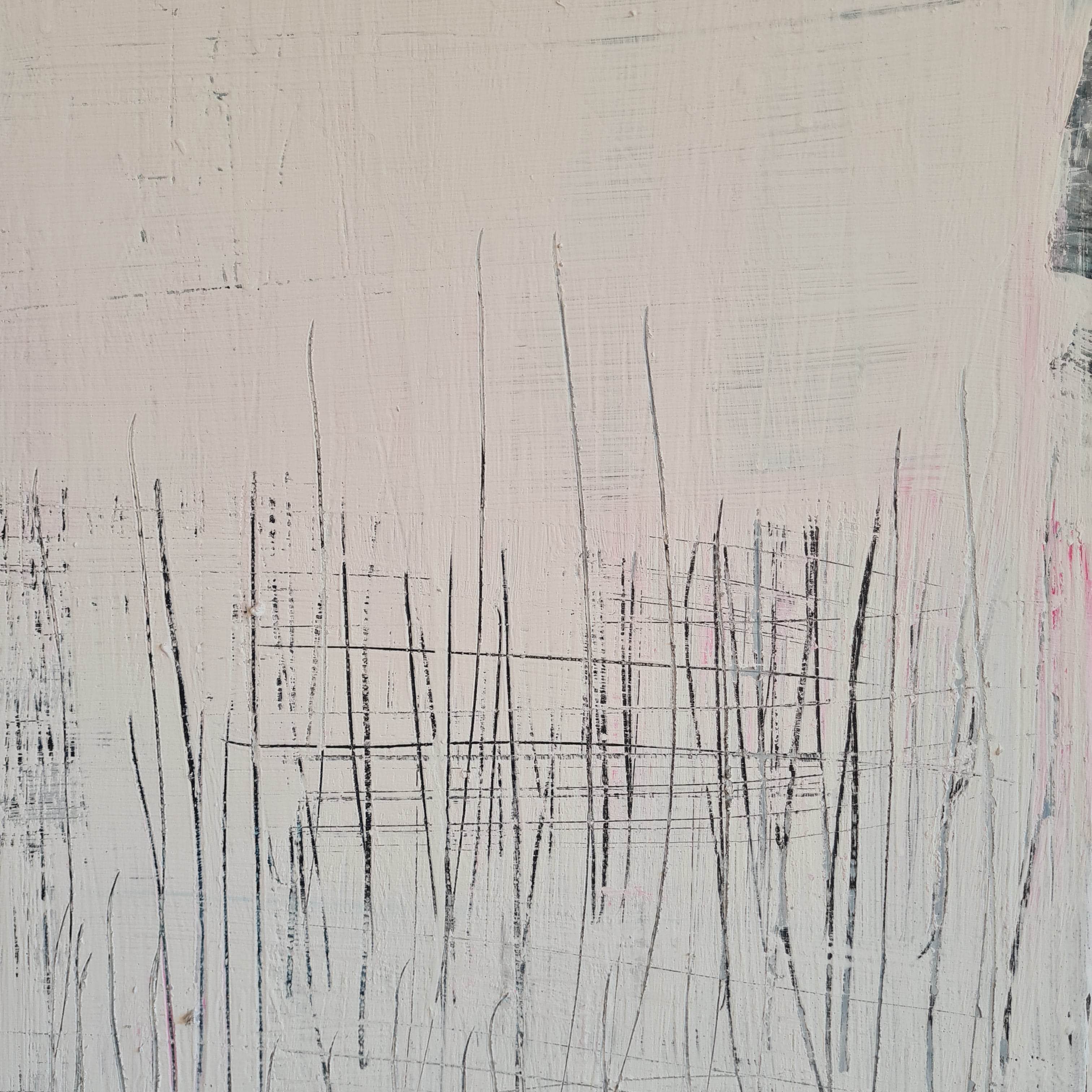 [Produkttitel], [Anbieter], [Produkttyp], [Produkthandle], [Shopname]