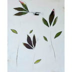 [Produkttitel], [Anbieter], [Produkttyp], [Produkthandle], [Shopname]