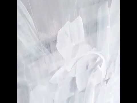 Weiße große Bilder - Pusteblume