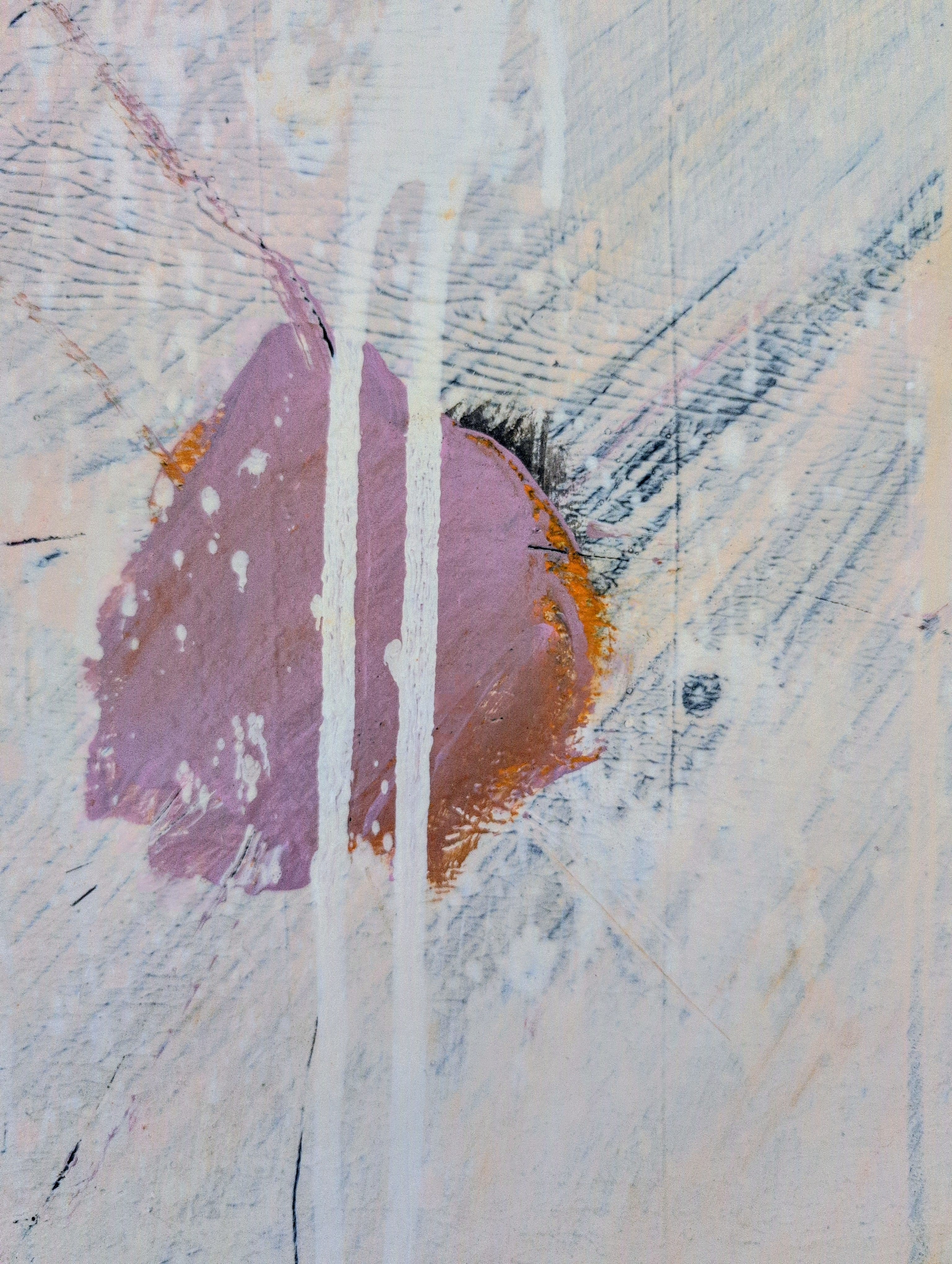 Eichhörnchentanz - 180 x 100 cm – sofort versandbereites Leinwandbild in nan, großes Kunstwerk für moderne Wohnräume